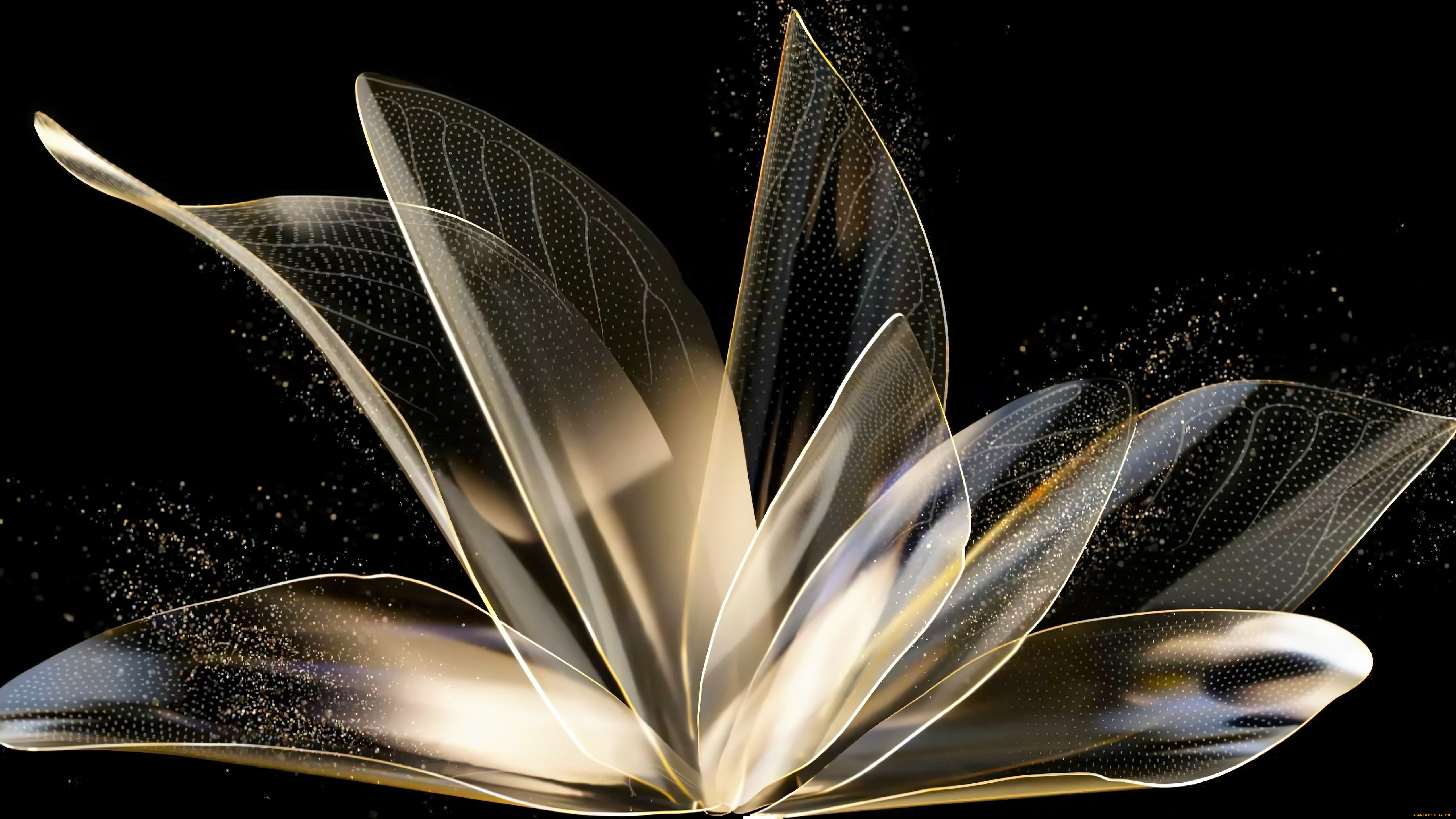 3 ,  , flowers, , , 